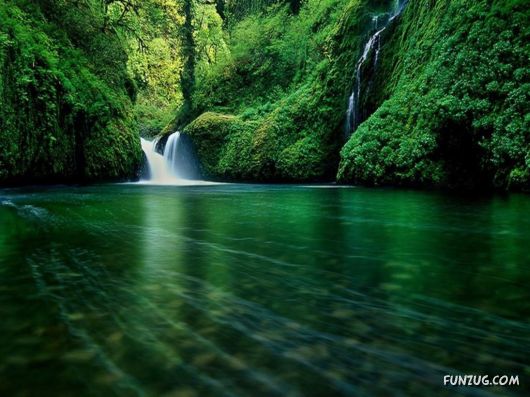 Click to Enlarge - Alone with the Nature Wallpapers