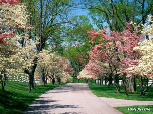 Click to Enlarge - Alone with the Nature Wallpapers