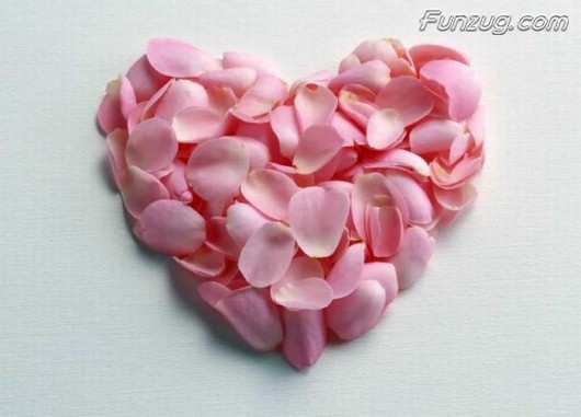 Click to Enlarge - Beautiful Floral Valentine Hearts