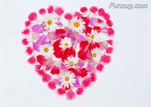Click to Enlarge - Beautiful Floral Valentine Hearts