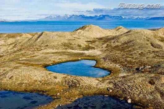 Click to Enlarge - Beautiful Floral Valentine Hearts