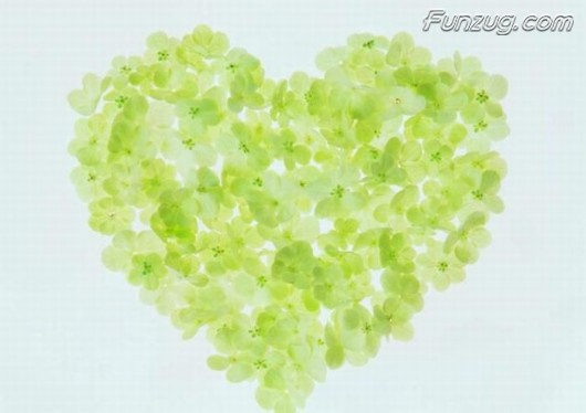 Click to Enlarge - Beautiful Floral Valentine Hearts