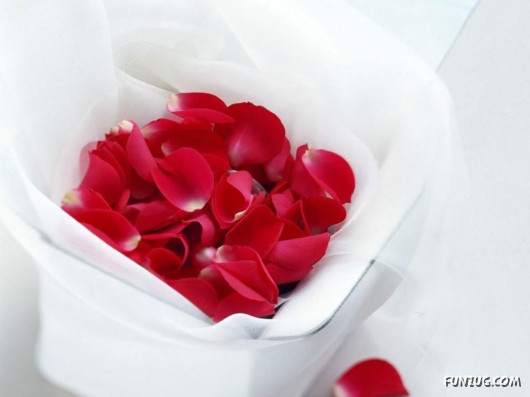 Click to Enlarge - The Gifts of Love - walls