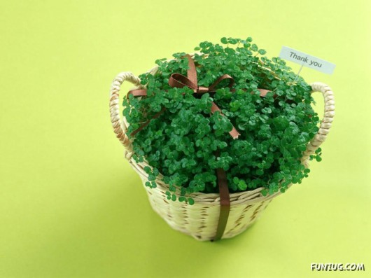 Click to Enlarge - The Gifts of Love - walls