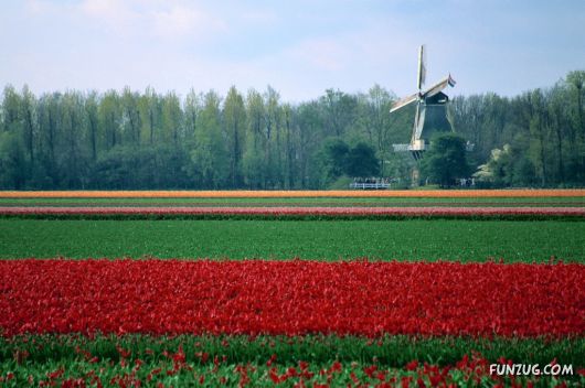 Click to Enlarge - Beautiful Netherlands Wallpapers