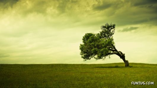 Click to Enlarge - Silent Heaven Beautiful Wallpapers