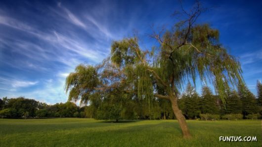 Click to Enlarge - Silent Heaven Beautiful Wallpapers