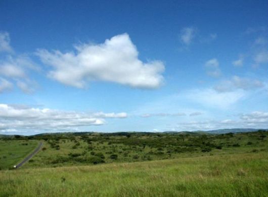 The Wild Life Of Africa