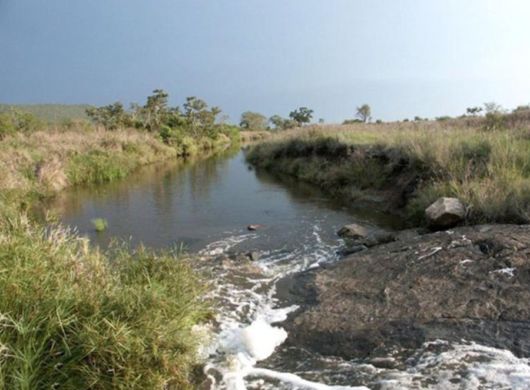 The Wild Life Of Africa