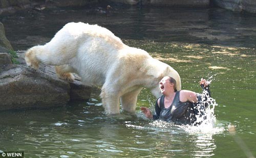 Animals Attacks Unleashed