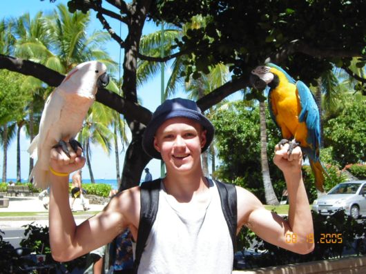 Cute Colorful Parrots Around the World