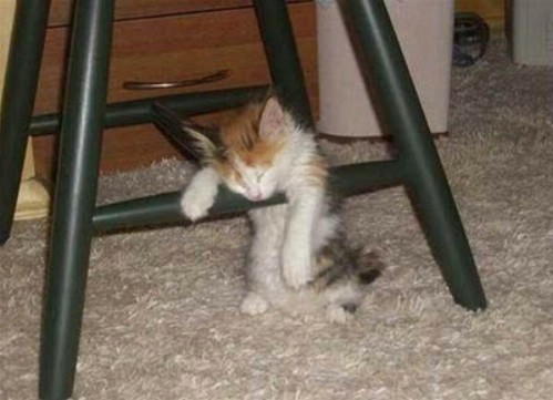 Have You Ever Been So Tired?