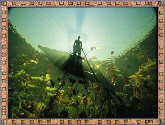 Excellent Underwater Animals Photography