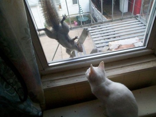 Lazy Hunters Cool Photography