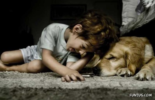 Love and Affection With Animals