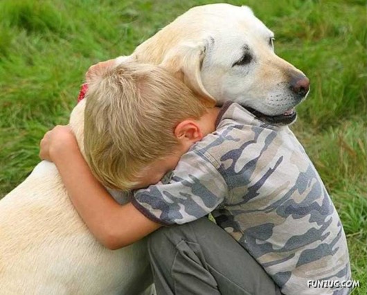 Love and Affection With Animals