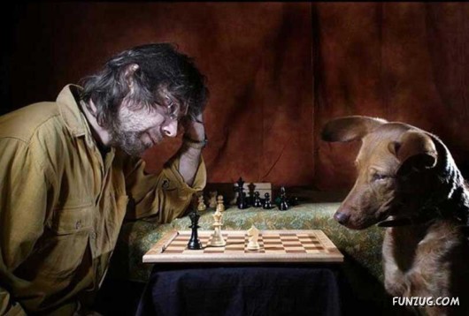 Love and Affection With Animals