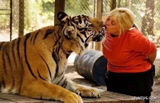 Pets Who are Not So Common