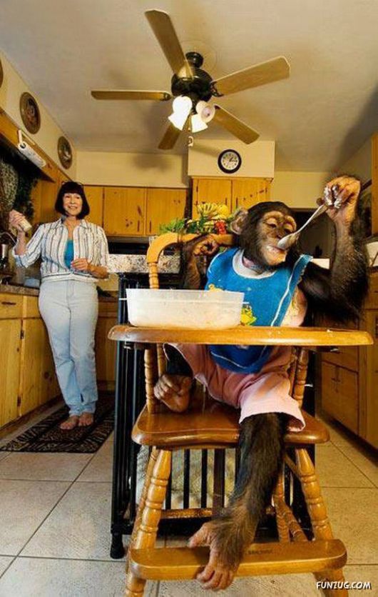 Pets Who are Not So Common