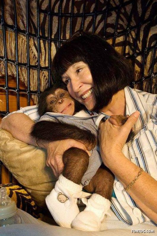 Pets Who are Not So Common