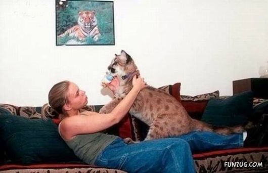 Pets Who are Not So Common