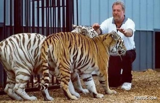 Pets Who are Not So Common