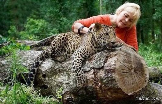 Pets Who are Not So Common