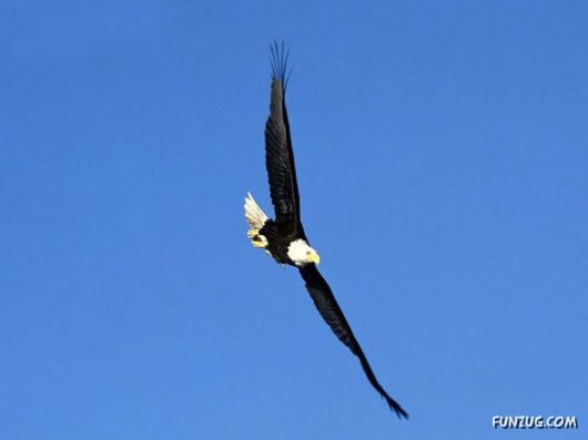 Sweetest Birds Photography