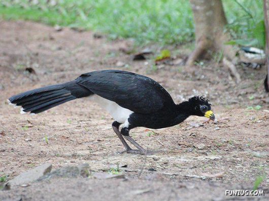 Sweetest Birds Photography