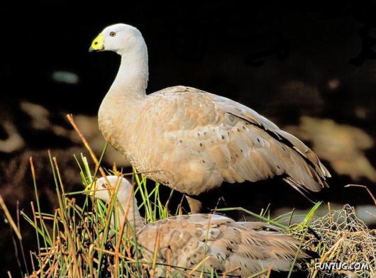 Sweetest Birds Photography