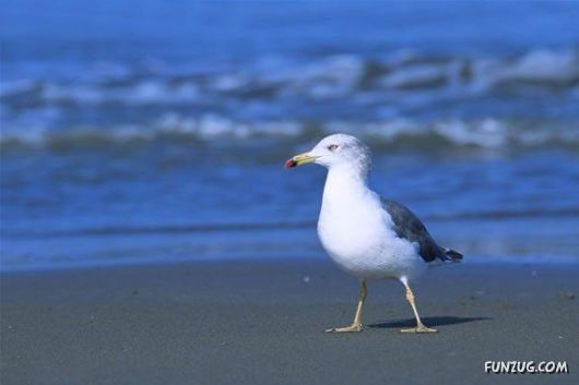 Sweetest Birds Photography