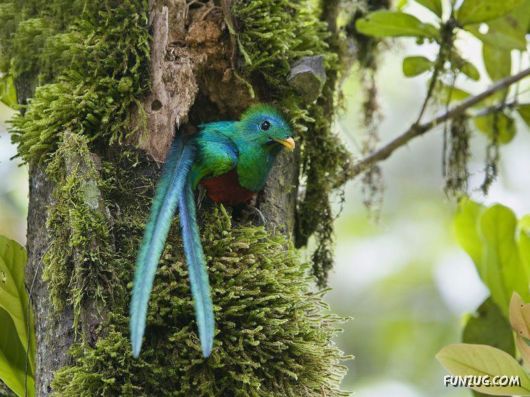 Sweetest Birds Photography