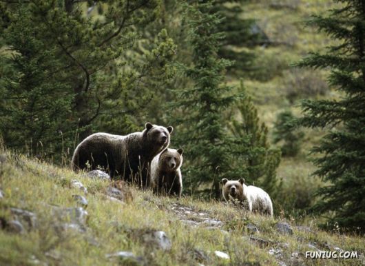 Awesome Wild Life Photography