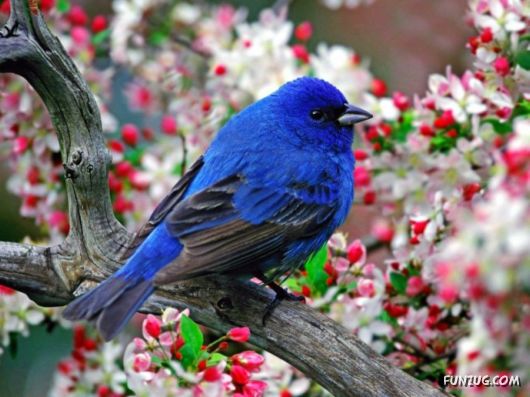 Awesome Wild Life Photography