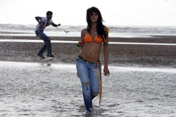 Beautiful Bollywood Babe Nisha Kothari