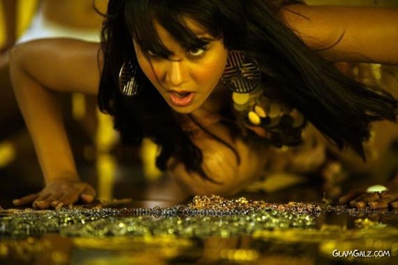 Beautiful Bollywood Babe Nisha Kothari