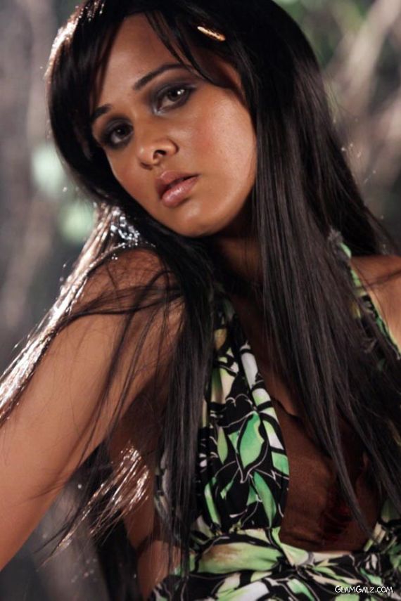 Beautiful Bollywood Babe Nisha Kothari