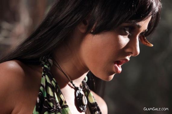 Beautiful Bollywood Babe Nisha Kothari