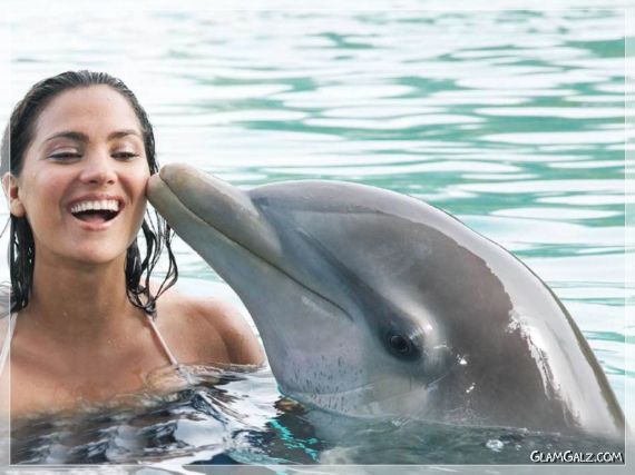 Click to Enlarge - Beautiful Lara Dutta Wallpapers