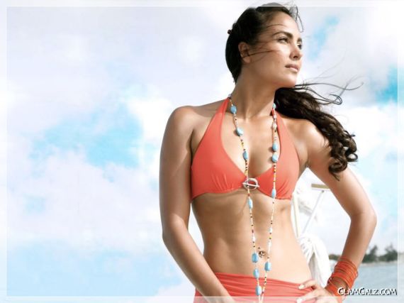 Click to Enlarge - Beautiful Lara Dutta Wallpapers