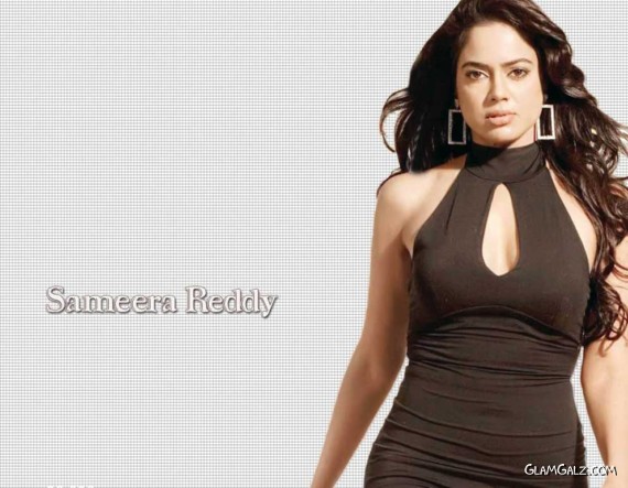 Click to Enlarge - Pretty Sameera Reddy Wallpapers