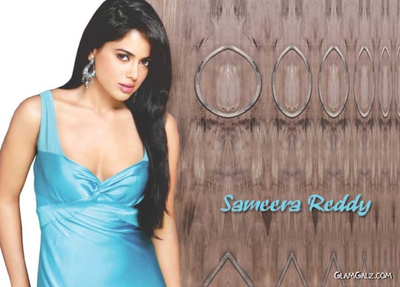 Click to Enlarge - Pretty Sameera Reddy Wallpapers