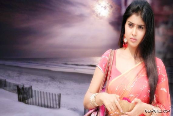 Click to Enlarge - Most Beautiful Wallpapers of Shriya Saran