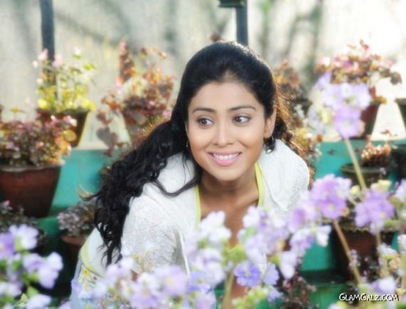 Click to Enlarge - Most Beautiful Wallpapers of Shriya Saran