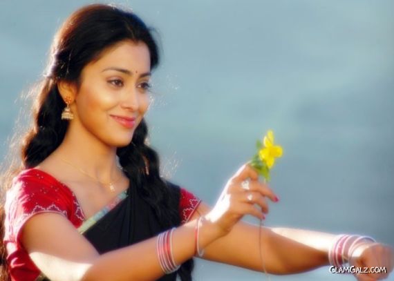 Click to Enlarge - Most Beautiful Wallpapers of Shriya Saran