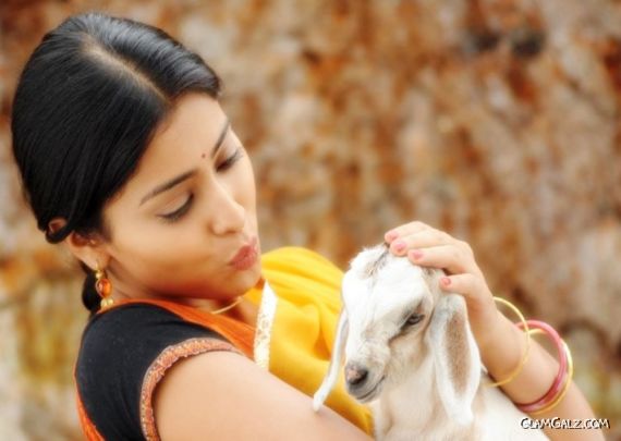 Click to Enlarge - Most Beautiful Wallpapers of Shriya Saran