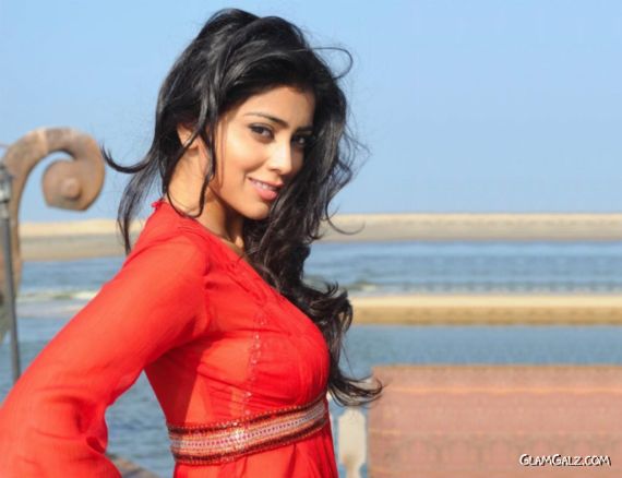 Click to Enlarge - Most Beautiful Wallpapers of Shriya Saran