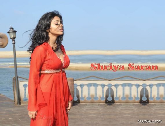 Click to Enlarge - Most Beautiful Wallpapers of Shriya Saran