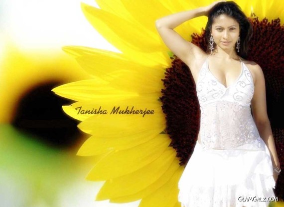 Click to Enlarge - Spicy Tanisha Mukherjee Wallpapers