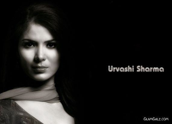 Click to Enlarge - Bollywood Beauty Urvashi Sharma Wallpapers